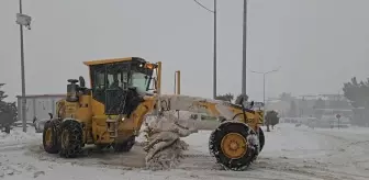 Mardin'de karla mücadele çalışmaları sürüyor