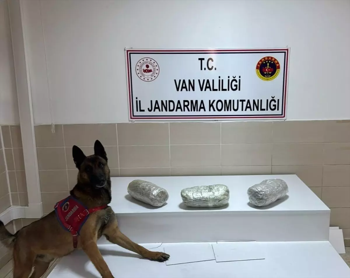 Van'da otomobilde 3 kilogram esrar ele geçirildi