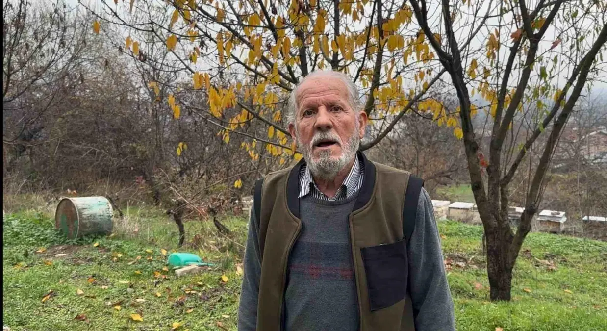 Zirai ilaç yüzünden milyonlarca arısı kovana dönemeden öldü