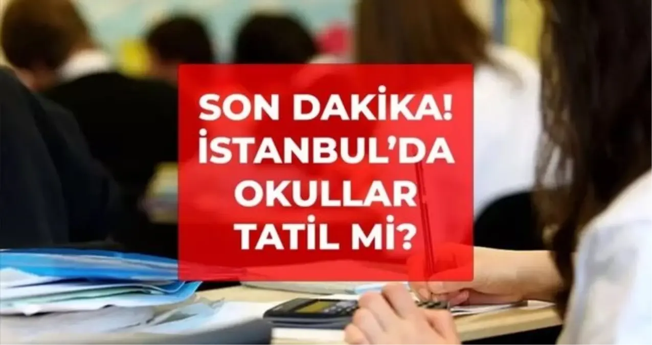 İstanbul'da yarın hangi ilçelerde okullar tatil? SON DAKİKA! 2 Ocak İstanbul'da okullar tatil mi?