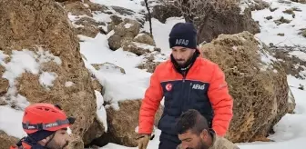 Mardin'de kar ve tipide mahsur kalan çoban ve hayvanları kurtarıldı