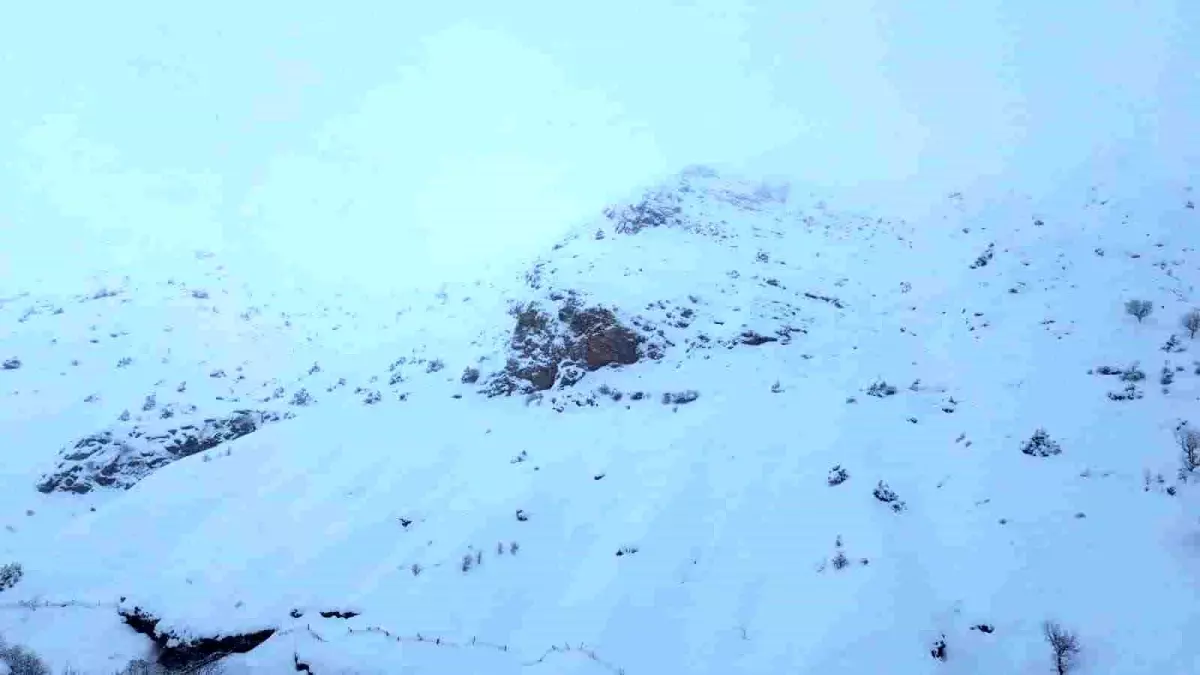 Batman'da ağıla çığ düştü: 45 küçükbaş hayvan telef oldu