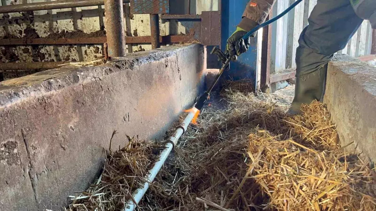 Besiciler donan su şebeklerini açmak için uğraşıyor