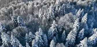 Beyaz örtüyle kaplanan Çam Dağı havadan görüntülendi