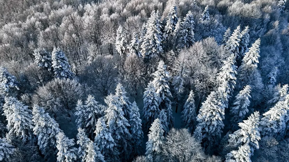 Beyaz örtüyle kaplanan Çam Dağı havadan görüntülendi
