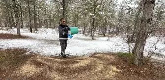 Çorum'da yaban hayvanları için doğaya yem bırakıldı