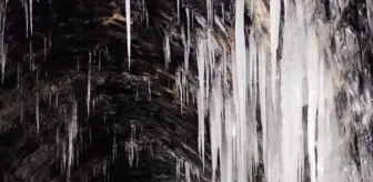 Demir yollarında yoğun kar mesaisi