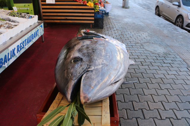 duzce aciklarinda bir gun sonra bu kez de 353 19419551 9591 m