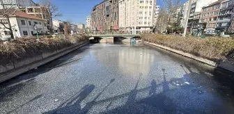 Eskişehir'de güvercinler Porsuk Çayı'nın buz tutan yüzeyinde yiyecek aradı