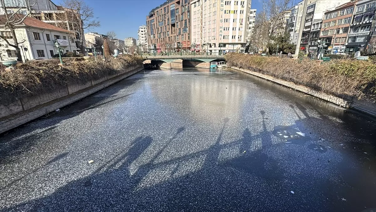 Eskişehir'de güvercinler Porsuk Çayı'nın buz tutan yüzeyinde yiyecek aradı