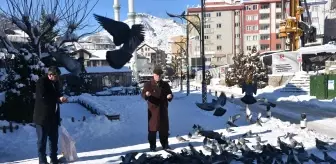 Gümüşhane'de yaban ve sokak hayvanları için doğaya yem bırakıldı