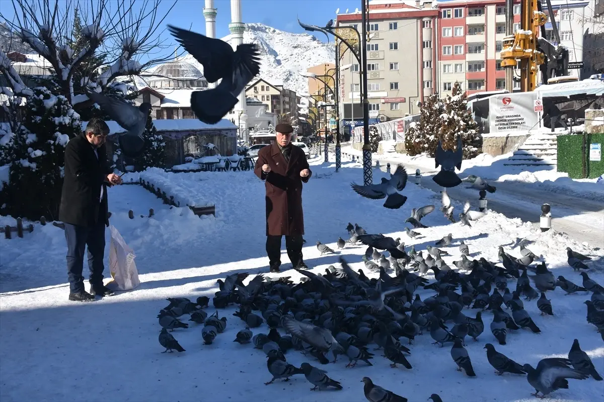 Gümüşhane'de yaban ve sokak hayvanları için doğaya yem bırakıldı