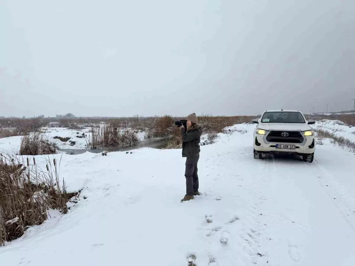 Iğdır'da belgesiz avlanan şahsa idari yaptırım uygulandı