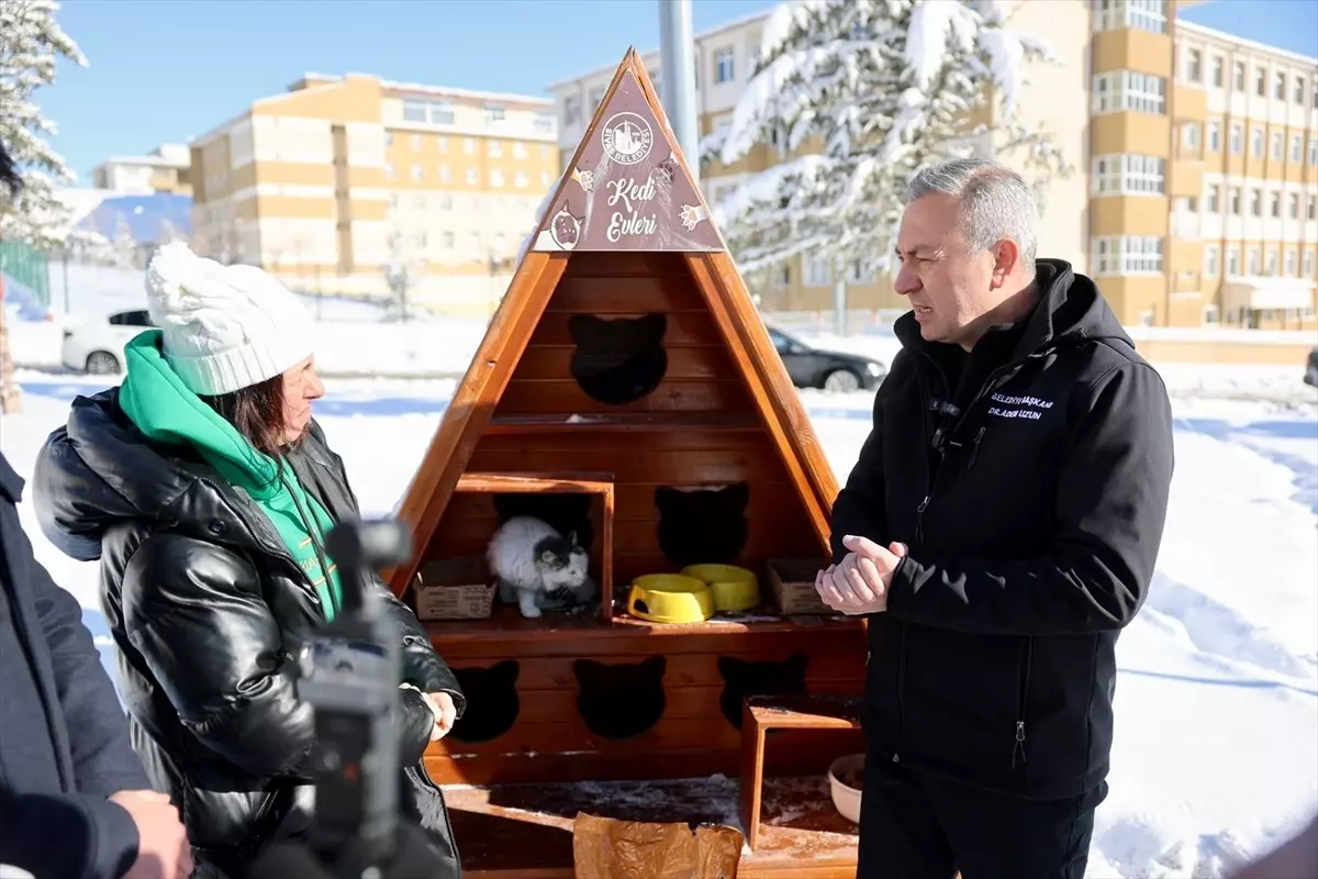 Sivas Belediyesi kedi evlerine mama bıraktı