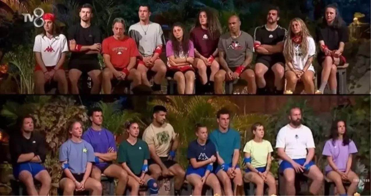 Survivor oy nereden, nasıl kullanılır? Survivor ücretsiz oy kullanma linki!