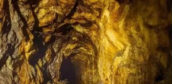 Trilyonluk keşif: Toprağın altından servet fışkırdı