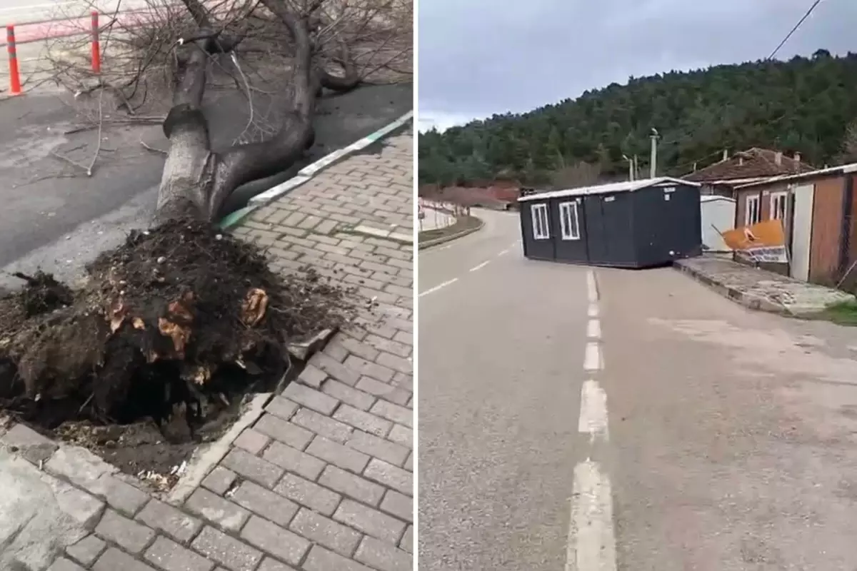 Ağaçlar kökünden söküldü, prefabrik evler bile uçuyor! Vatandaşlara 'Sokağa çıkmayın' uyarısı