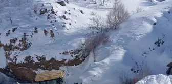 Ağrı'da çığ yüzünden kapanan köy yolu yeniden ulaşıma açıldı