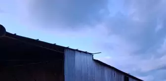 Alanya'da palet fabrikasında çıkan yangın söndürüldü