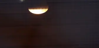 Antalya Doğal Yaşam Parkı'ndaki hayvanlar için kış tedbirleri alındı