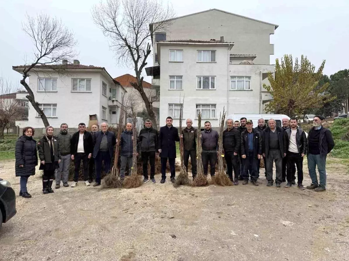 Bilecik'te çiftçilere meyve fidanı desteği