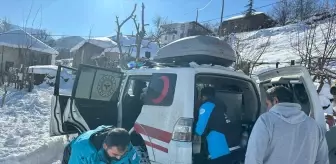 Bingöl'de yolu kardan kapanan köydeki 100 yaşındaki hasta paletli ambulansla hastaneye ulaştırıldı