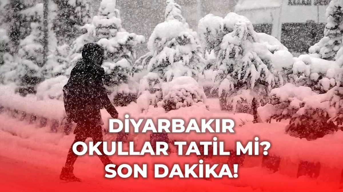 Diyarbakır okullar tatil mi, 5 Ocak Pazartesi Diyarbakır kar yağışı okullar tatil mi? Diyarbakır Valiliği ...