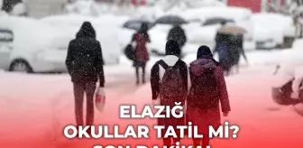 Elazığ okullar tatil mi, 5 Ocak Pazartesi Elazığ kar yağışı okullar tatil mi? Elazığ Valiliği kar tatili açıklaması!
