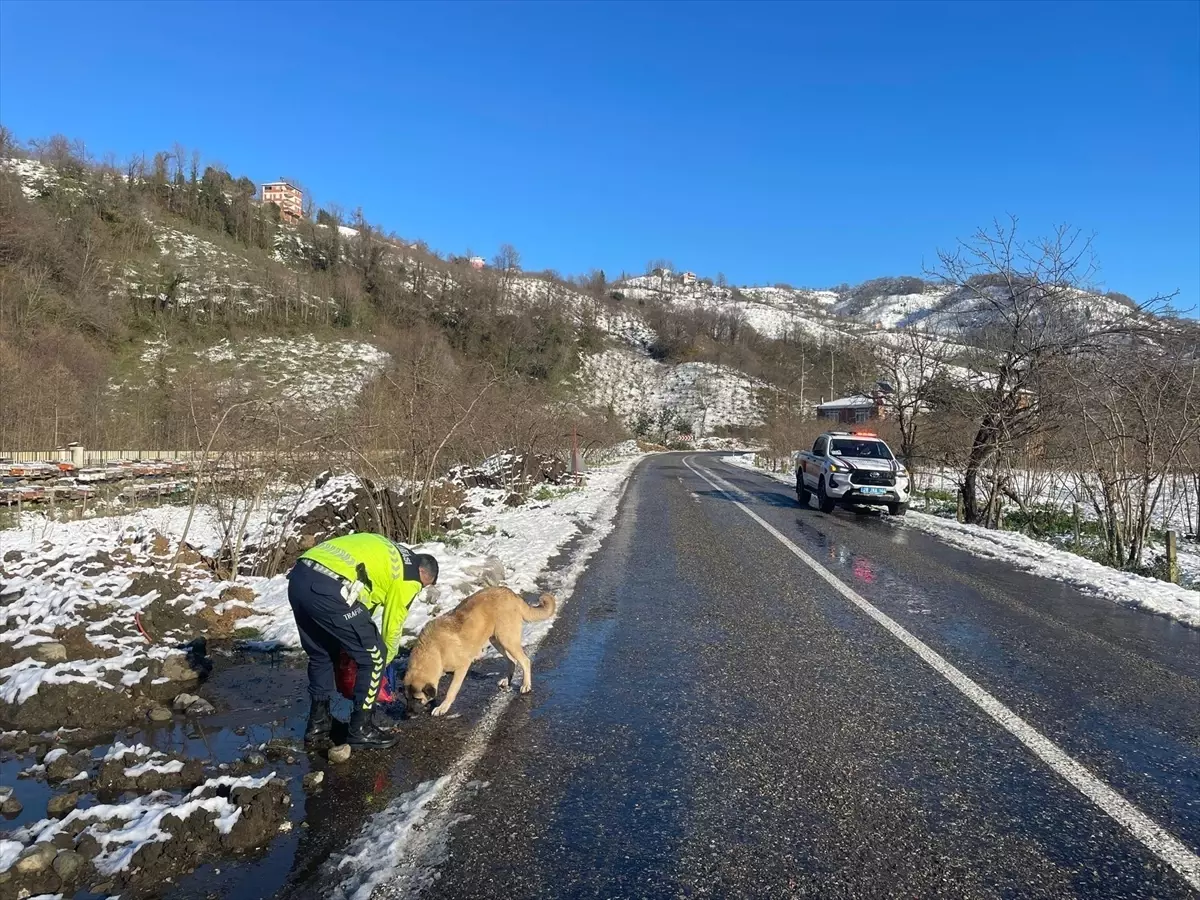 Espiye'den kısa kısa