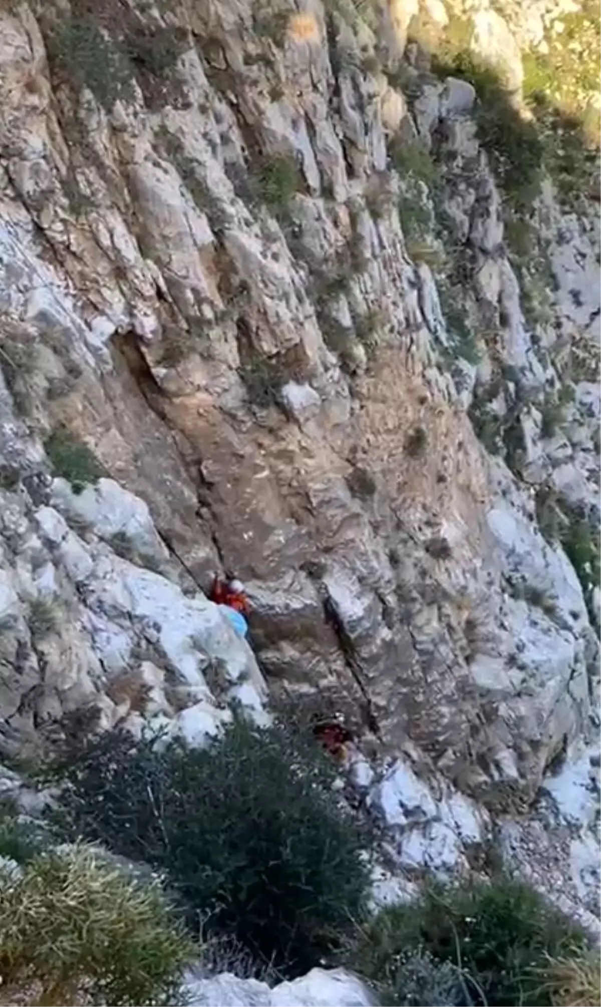 Fethiye'de kayalıklarda mahsur kalan keçi kurtarıldı