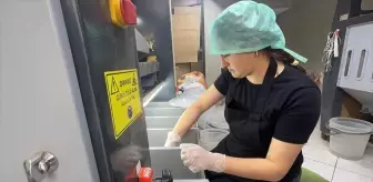 Giresunlu kadın girişimci devlet desteğiyle fındık işleme tesisi kurdu