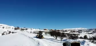 İş makinesi karlı yolları açıyor, ekipler sahipsiz hayvanları besliyor