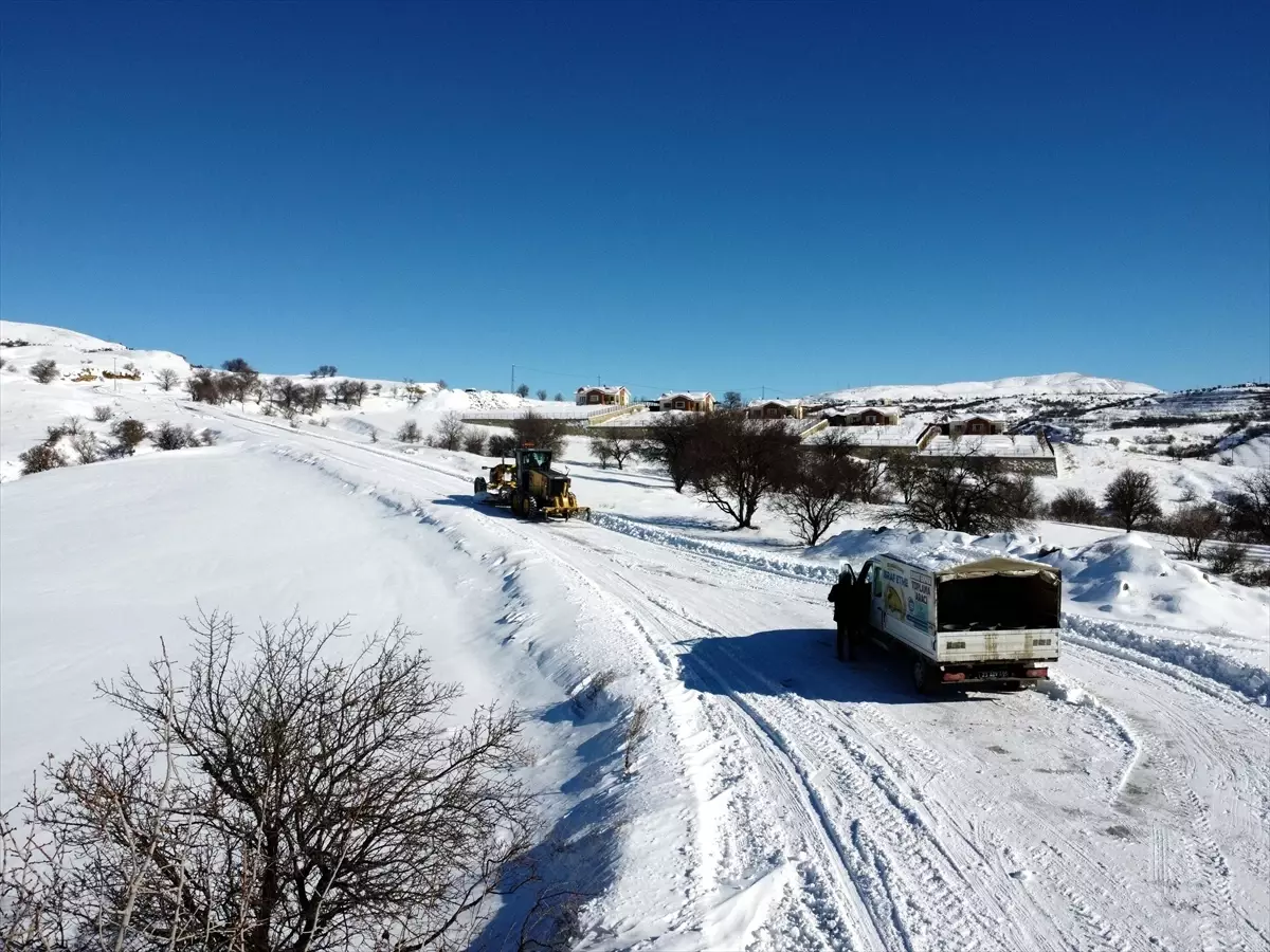 İş makinesi karlı yolları açıyor, ekipler sahipsiz hayvanları besliyor
