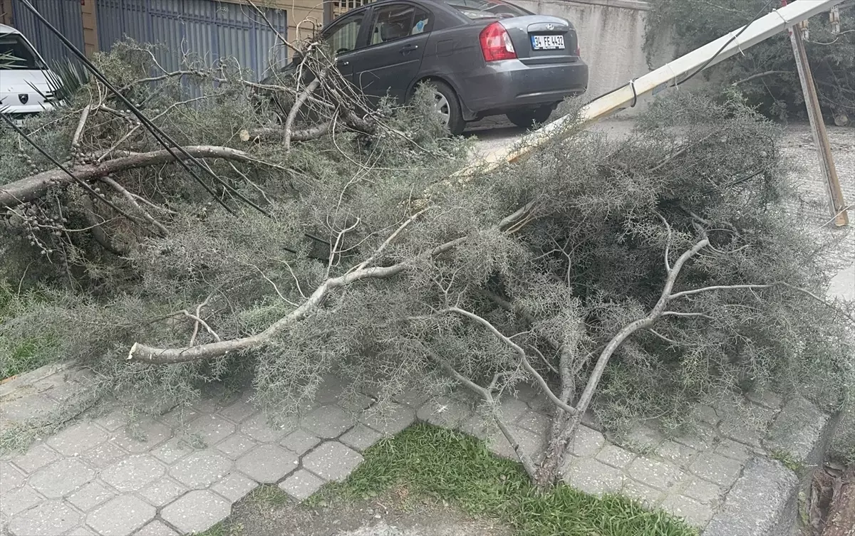 İstanbul'da etkisini sürdüren şiddetli lodos hayatı olumsuz etkiliyor