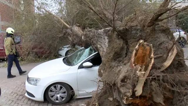 istanbul da lodos agac 4 aracin uzerine devri 4 19422429 o