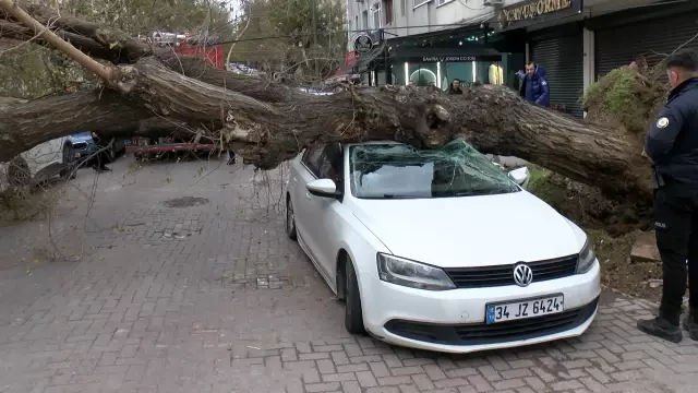 istanbul da lodos agac 4 aracin uzerine devri 6 19422429 o