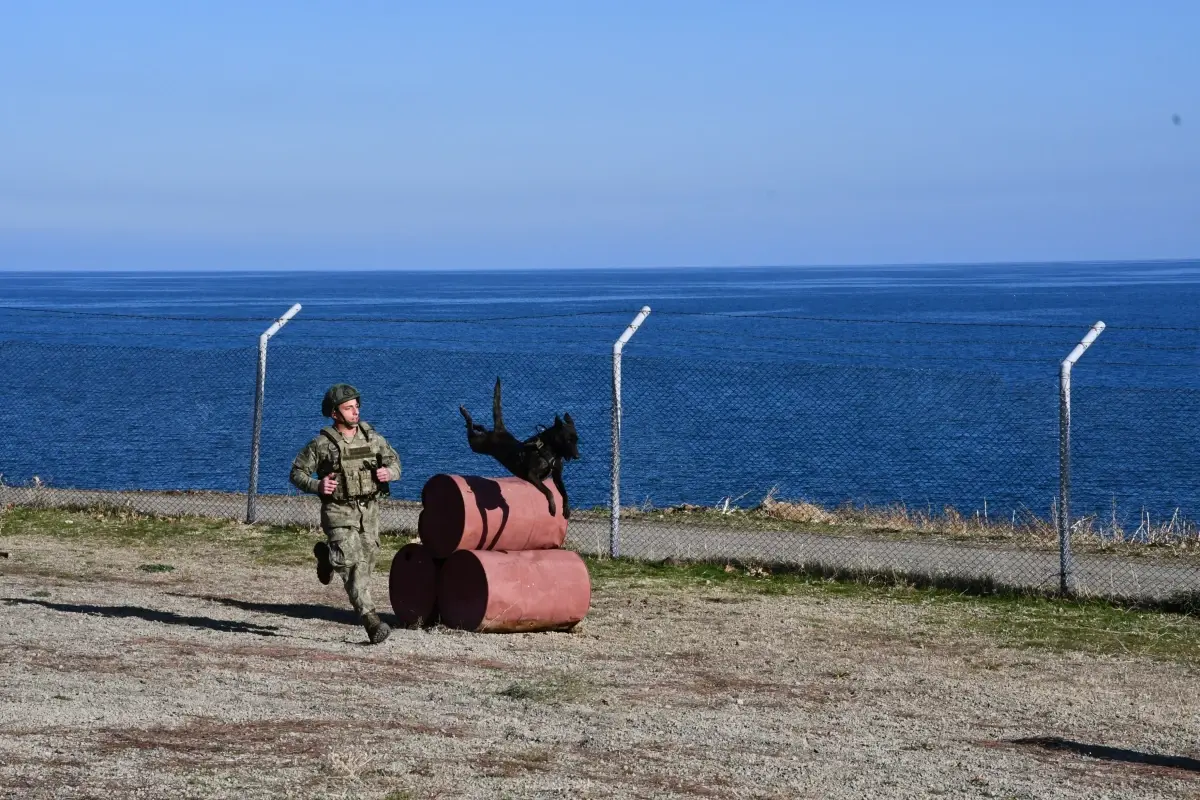 MSB'den Askeri Köpekli Timlerin Eğitimine İlişkin Paylaşım