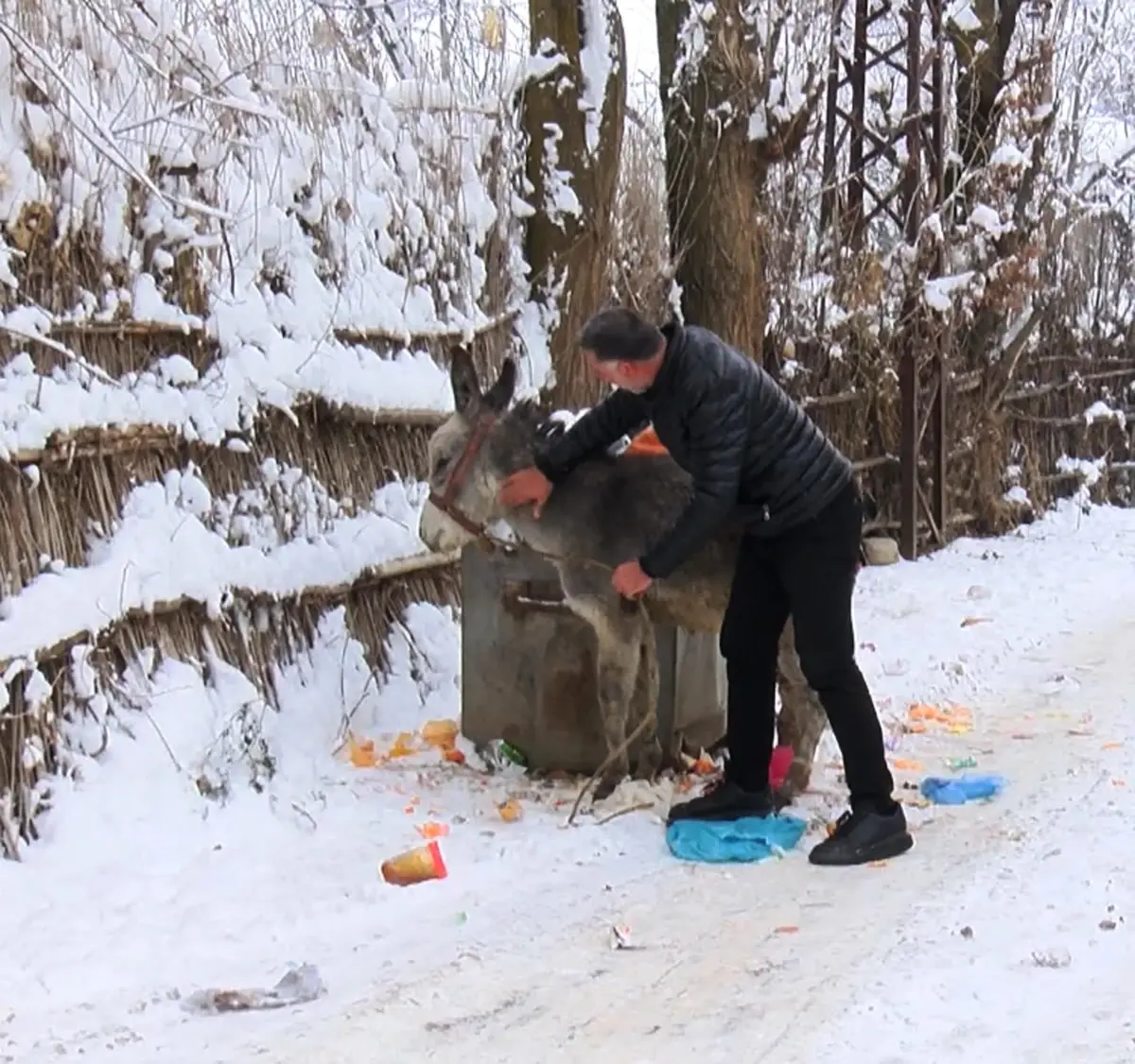 Muşlu yerel sanatçı, kışın ölüme terk edilen at ve eşeklere sahip çıkıyor