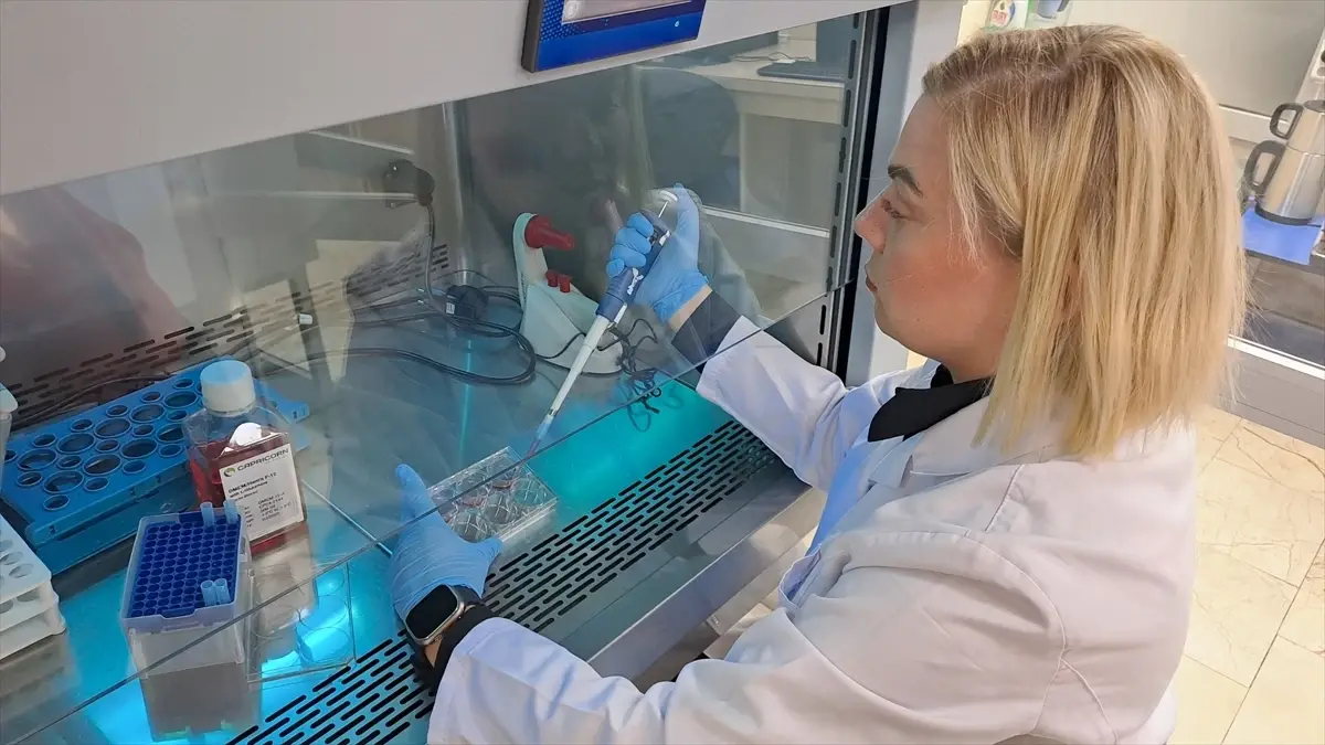 Sakarya'da doktora öğrencisi bor tabanlı kanser tedavi projesi geliştirdi