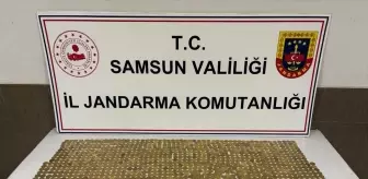 Samsun'da Osmanlı dönemine ait 1404 adet para bulundu