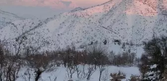 Siirt'te kar yağışı nedeniyle mahsur kalan işçi kurtarıldı