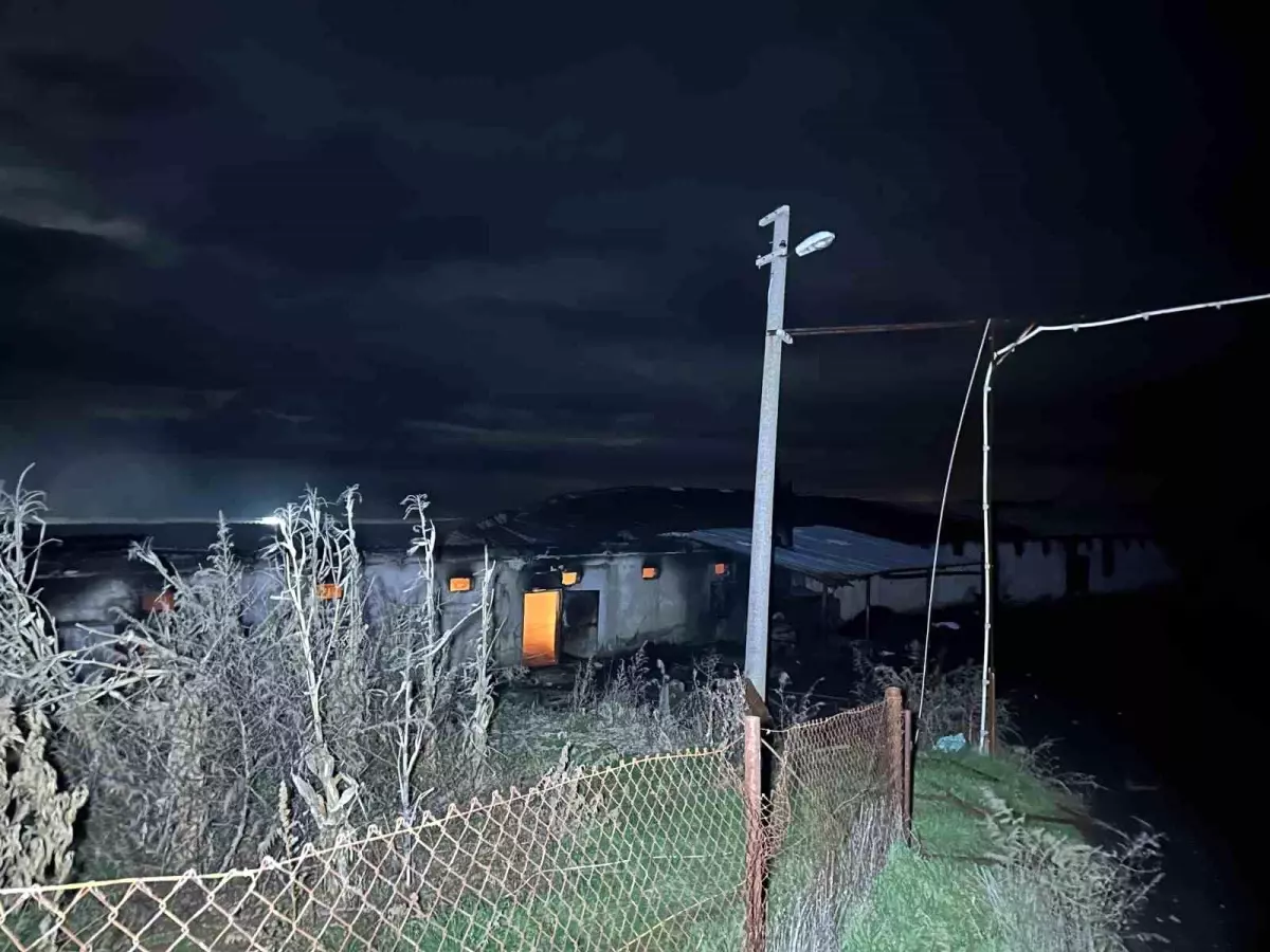 Uşak'ta boş tavuk çiftliğinde çıkan yangın korkuttu