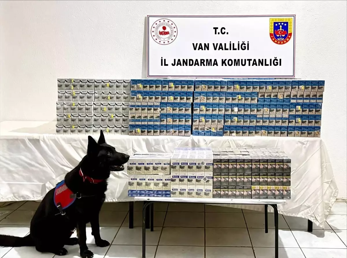 Van'da 8 bin 200 paket gümrük kaçağı sigara ele geçirildi