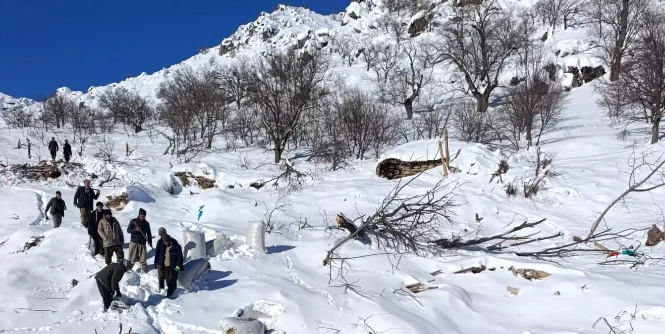 Ahırların üzerine çığ düştü, küçükbaş hayvanlar telef oldu