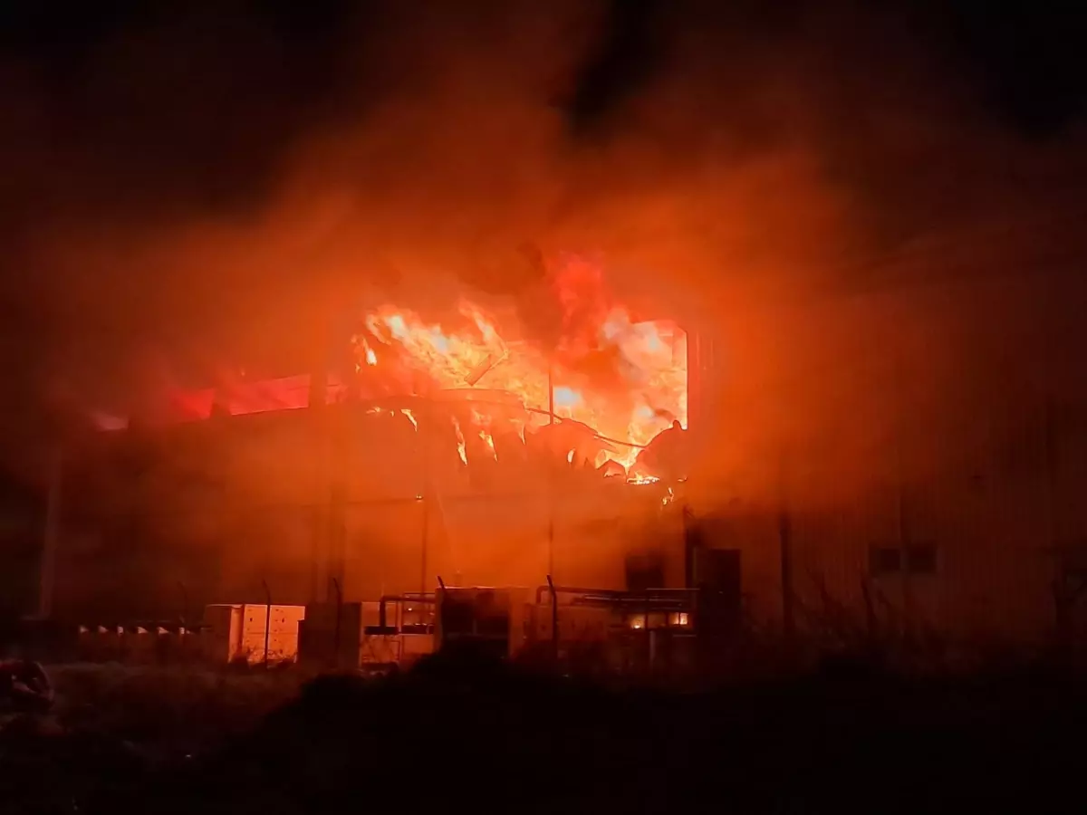 Antalya'da soğuk hava deposunda yangın