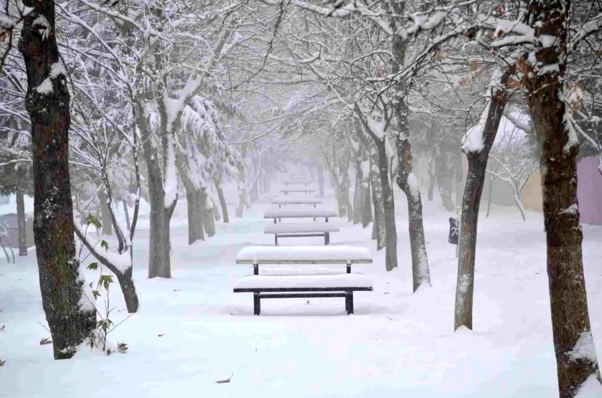 Besni'de kar yağışı ilçeyi beyaza bürüdü