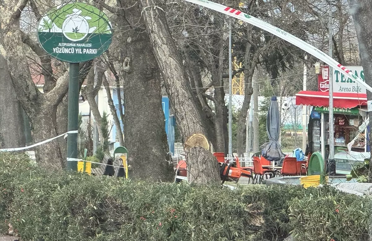 Bursa'da şiddetli rüzgar etkisini sürdürüyor