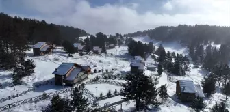 Çam ormanlarıyla çevrili Dumanlı Tabiat Parkı ziyaretçilerini bekliyor