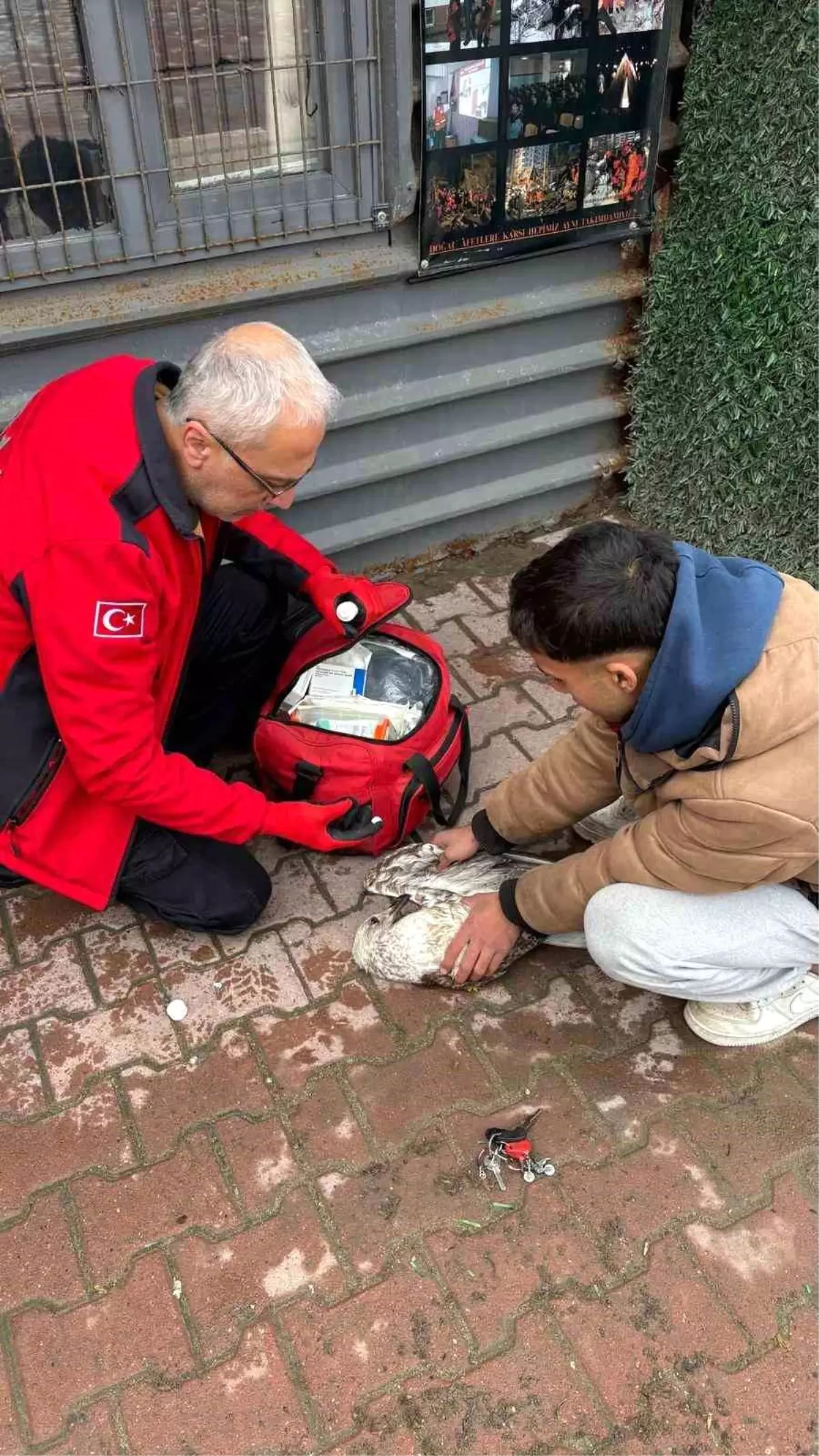 Denizde can mücadelesi: Martıyı 911 ekipleri kurtardı