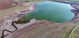 Diyarbakır'da 'kuş cenneti' olarak bilinen Kabaklı Göleti kuruma tehlikesi yaşıyor